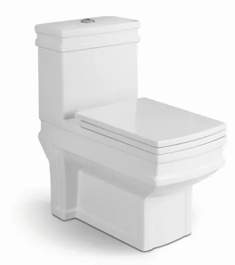 S-Trap Water Saving One Piece Toilet with Slow Down Seat Cover
