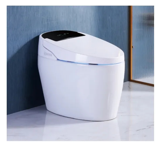 Floor Standing Ceramic Siphonic Popular Automatic Inductive Smart Toilet