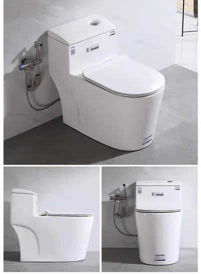 Ceramic White Wc Bathroom Set Washdown One Piece Toilet Bowl