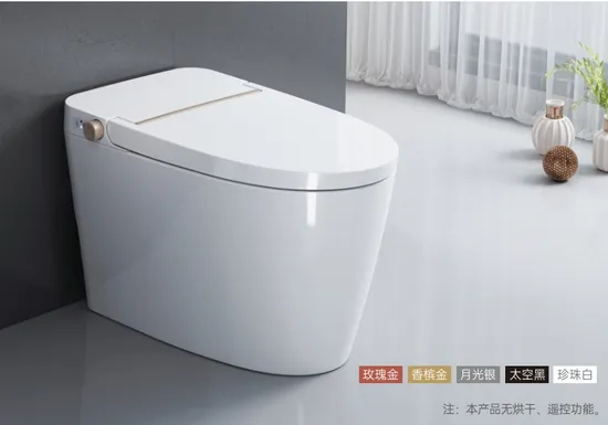 Sanitary Ware New Design Auto Flush One Piece Smart Toilet