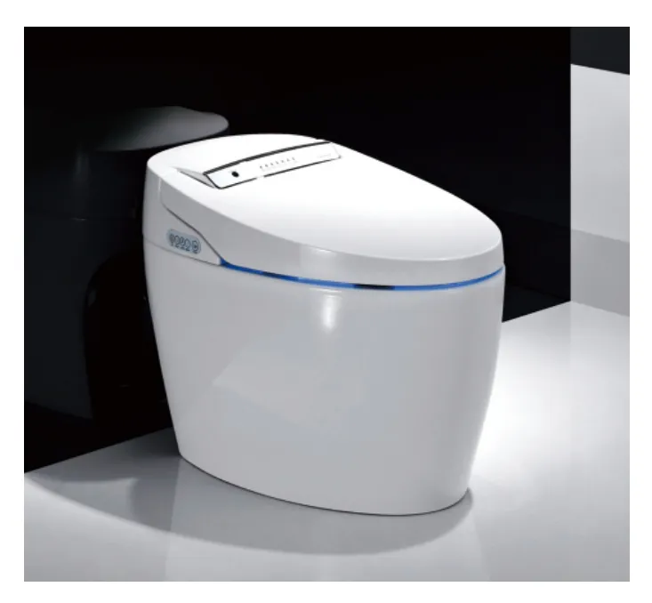 Flushing Oval Shape Porcelain Ceramic Bathroom One Piece Wc Toilet