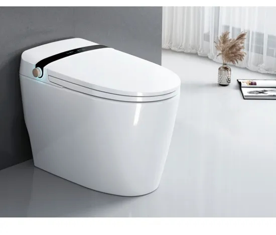 Smart Toilets in Countries That Do Not Require Certification