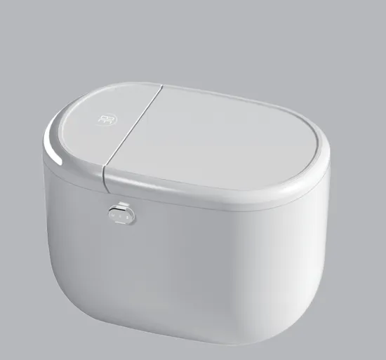 Wc Wall Mounted Toilet Ceramic Toilet Siphonic Flushing