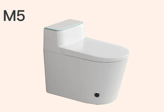 Bejoan Floor Standing Ceramic Automatic Inductive Smart Toilet