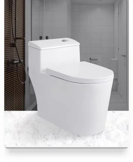 Wc Design Bathroom Ceramic One-Piece White Colored Toilets Bowl