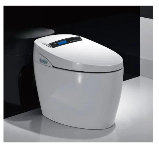 2024 Luxury Ceramic Sanitary Ware Siphon Floor Mounted Smart Toilet