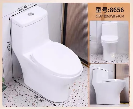 Bathroom Washdown One Piece Ceramic Wc Toilet