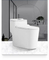 Bathroom Ceramic One-Piece Toilet Bowl