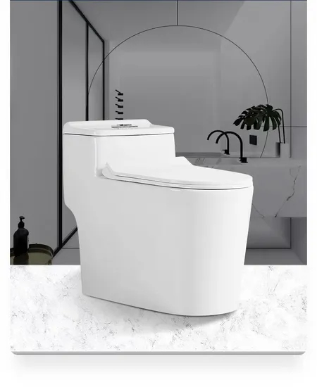 Bathroom Ceramic One-Piece Toilet Bowl