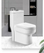 Bathroom Ceramic One-Piece Toilet Bowl
