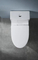 Hot Sale Washdown Sanitary Ware One Piece Toilet Bowl Colored