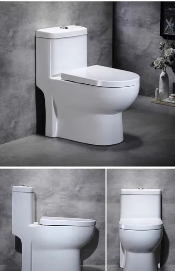 One Piece Toilet with Comfort Chair Seat Power Dual Flush White Color