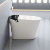 Sanitary Ware Automatic Smart Water Closet Toilet