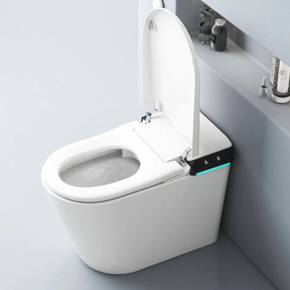 Sanitary Ware One Piece Ceramic Smart Toilet