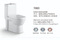 Modern Wc Sanitary Tornado Dual Flush One Piece Ceramic Bathroom Toilet