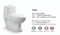 Lavatory Vitreous China High Efficiency One-Piece Elongated Siphonic Toilet with Dual-Flush
