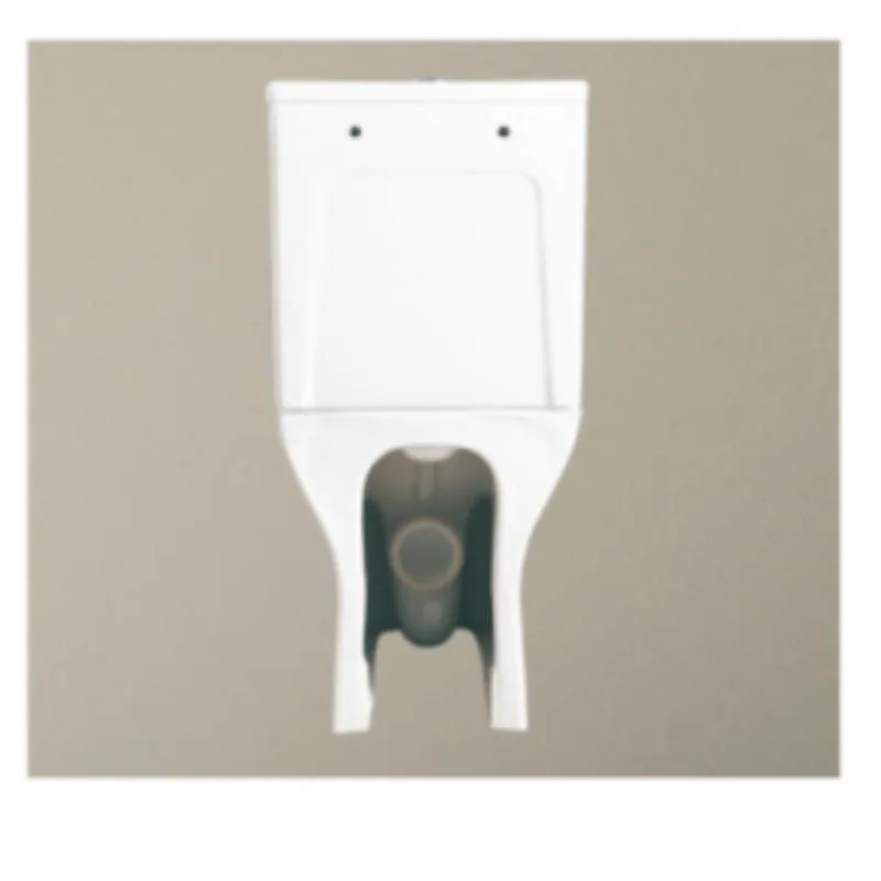 Bathroom Sanitary Ware Watermark Ceramic Toilet