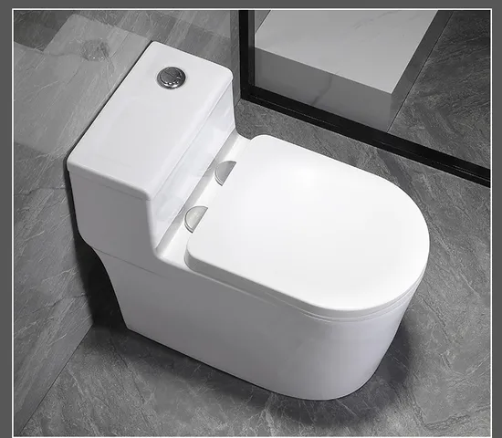 One Piece Toilet with Comfort Chair Seat Power Dual Flush
