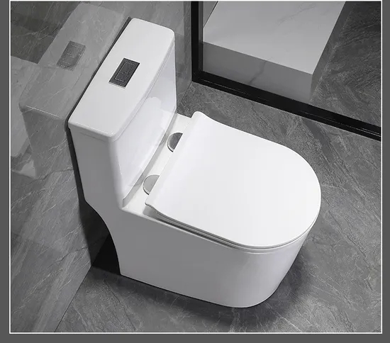 Wholesale Dual Flush Washdown One Piece Toilet Water Closet for Sale