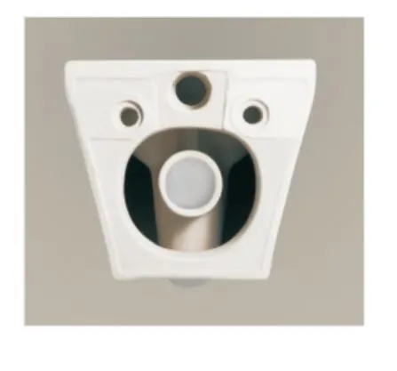 Chinese Wholesale Watermark Latest Design Wc Wall Hung Toilet with Bidet
