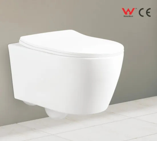 Wall Hung Toilet Sanitary Ware Ceramic Bathroom Set Portable Toilet