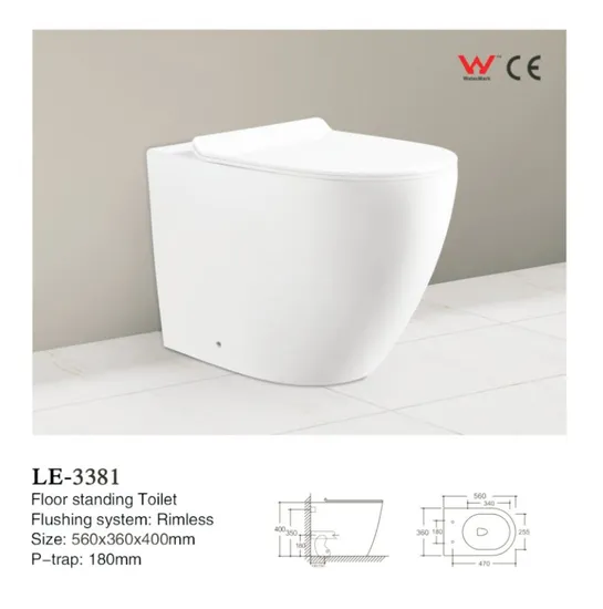 Wall Hung Toilet Wall Mount Hotel Toilet for Bathroom
