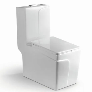 Nice Design Sanitary Ware Ceramic One Piece Toilet Set with Colored Line