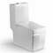 Nice Design Sanitary Ware Ceramic One Piece Toilet Set with Colored Line