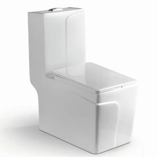 Nice Design Sanitary Ware Ceramic One Piece Toilet Set with Colored Line