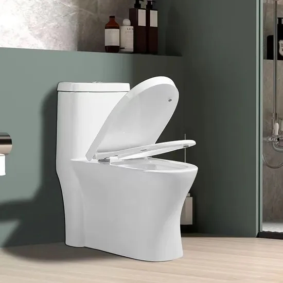 Competitive Price Hot Sale One Piece Ceramic Toilet