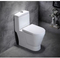 Siphonic Flush S Trap Toilet Sanitary Ware One Piece Toilet