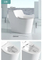 Sanitary Ware Mounted Bowl Rimless Matt White Ceramic Toilet Water Closet