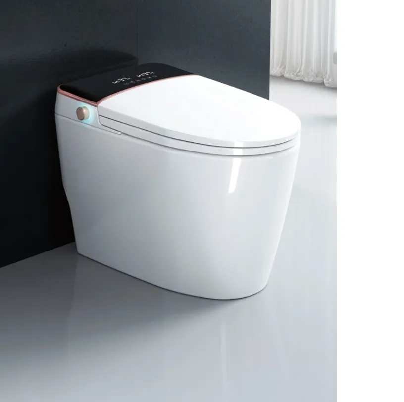 Flushing Oval Shape Porcelain Ceramic Bathroom One Piece Wc Toilet