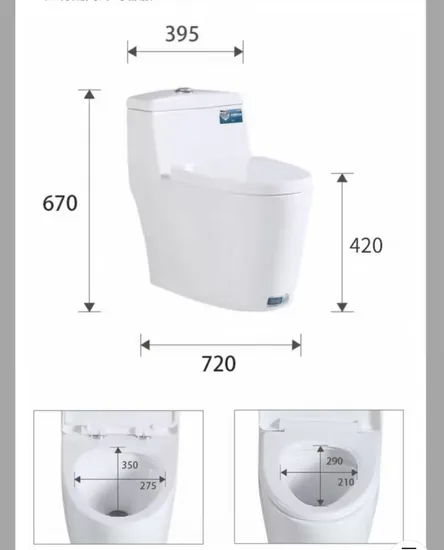 Popular Style Floor Mounted Bathroom Dual Flush Siphonic One Piece Toilet