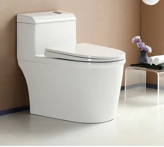 Cheap Price Siphonic Toilet Bowl Water Closet with Toilet Seat Cover