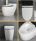 Economical Hotel Bathroom Sanitary Ware Wc Siphonic One-Piece Water Closet