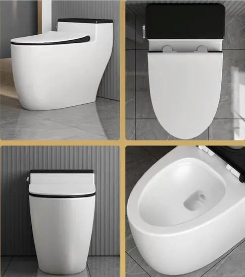 Economical Hotel Bathroom Sanitary Ware Wc Siphonic One-Piece Water Closet