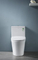 Hot Sale Washdown Sanitary Ware One Piece Toilet Bowl Colored