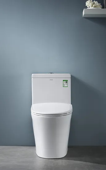 Chinese Modern Cheap Price One Piece Siphonic Washdown Toilet Bowl