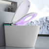 Sanitary Ware One Piece Ceramic Floor Mounted Smart Toilet