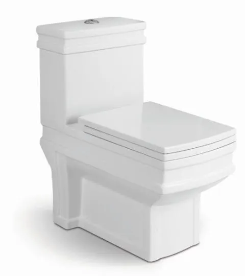 S-Trap Water Saving One Piece Toilet with Slow Down Seat Cover