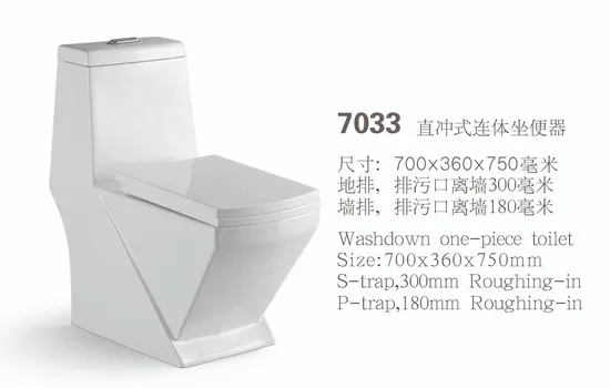 Floor Mounted Sanitary Ware Luxury Washdown One Piece Toilet Water Closet