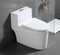 Customization China Bathroom One Piece P Trap S Trap Toilet