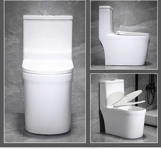 One Piece Toilet with Comfort Chair Seat Power Dual Flush