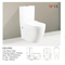 China Wholesale 2 Piece Toilet Matte Grey Ceramic Wc Flushing Toilet