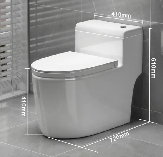White Pulse Tankless One Piece Toilet Water Closet