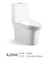 Bathroom Ceramic Washdown One Piece Wc P-Trap/S-Trap Toilet