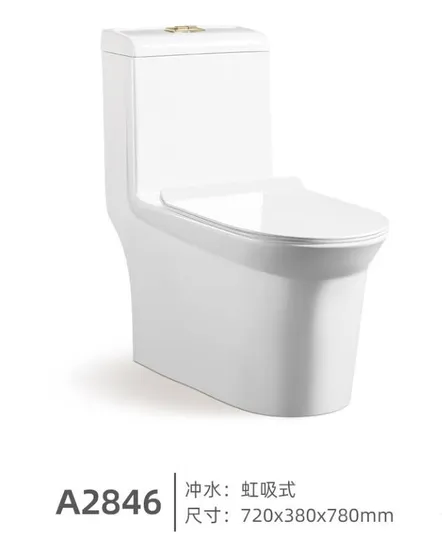 Bathroom Ceramic Washdown One Piece Wc P-Trap/S-Trap Toilet