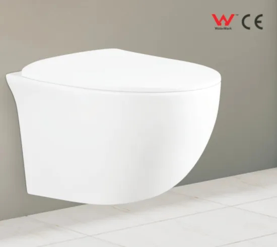 Sanitary Ware Bathroom Water Closet Ceramic Wc Wall Hung Toilet From Chaozhou