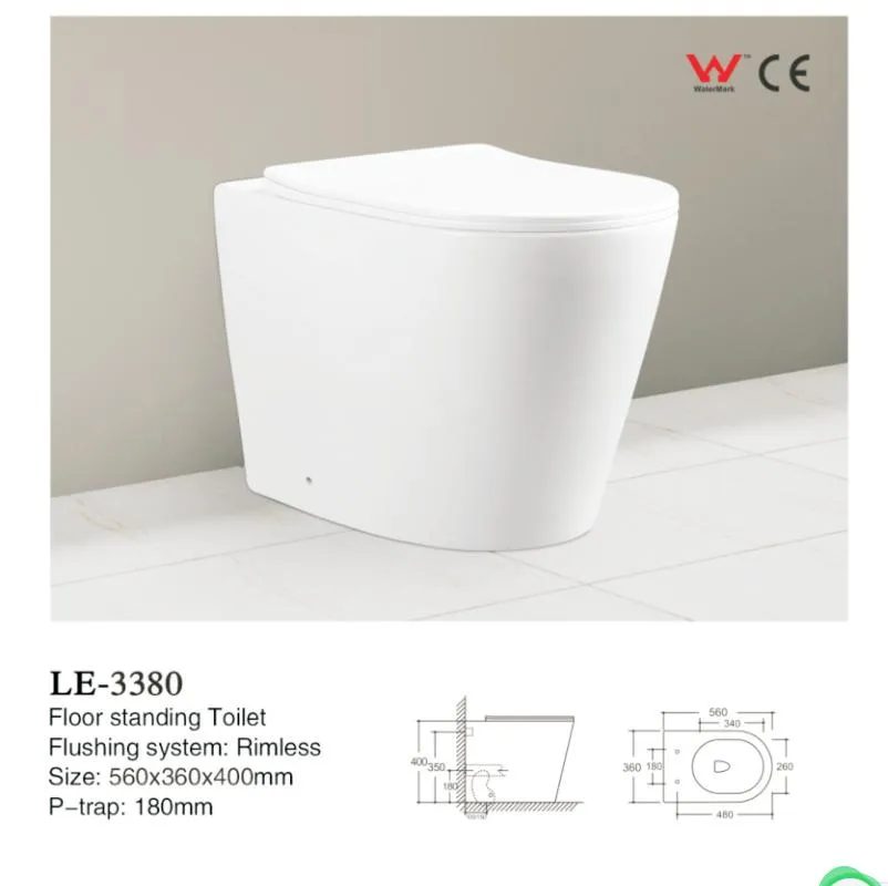 Hot Selling Wall Hung Toilet with Standard Package